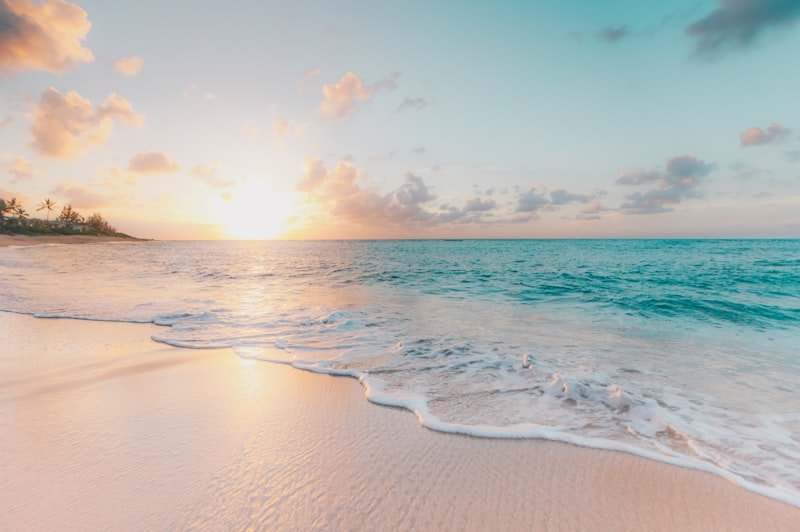 Saona Island catamaran tour in Punta Cana