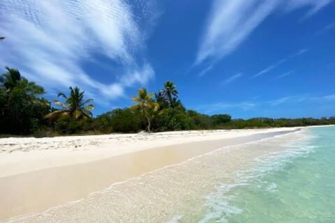 Saona Island Catamaran