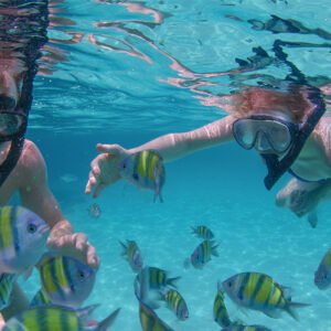 Reef Snorkeling Explorer
